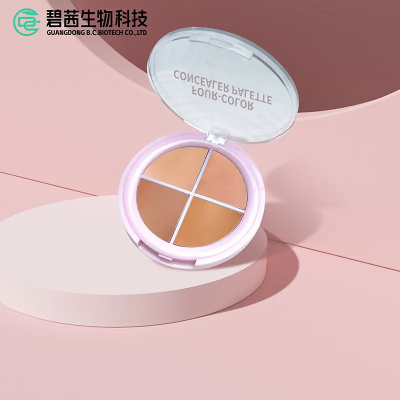 4 Colors Concealer Kit